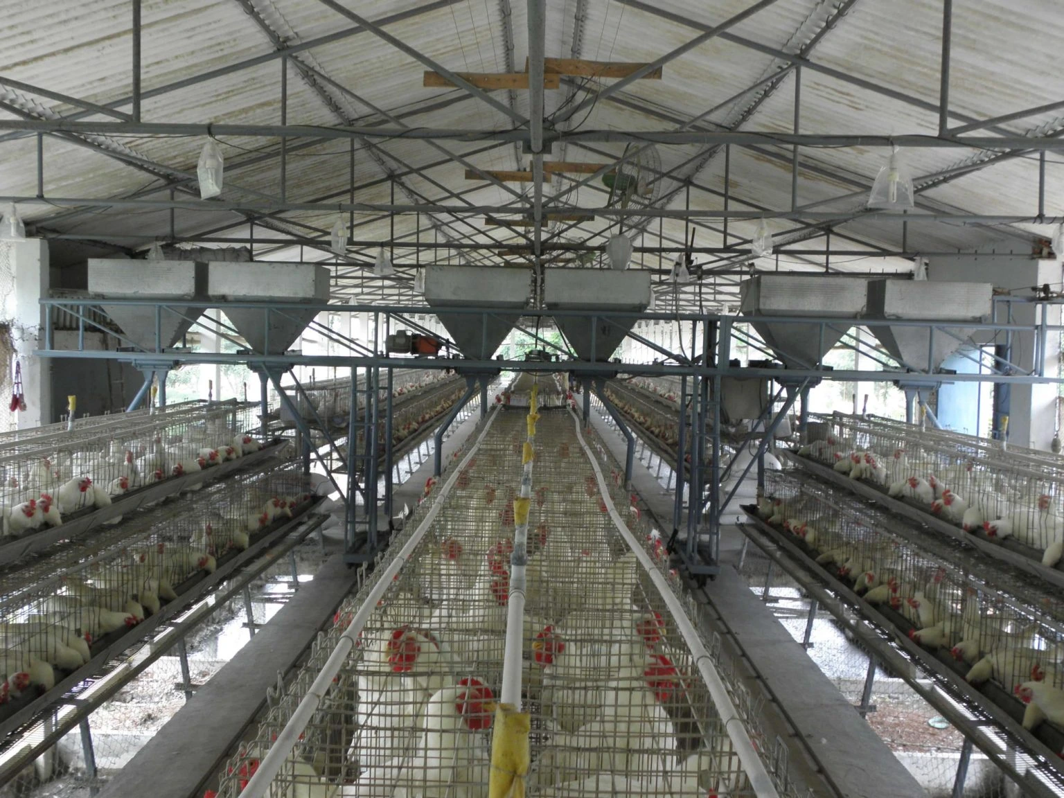 Feed Management