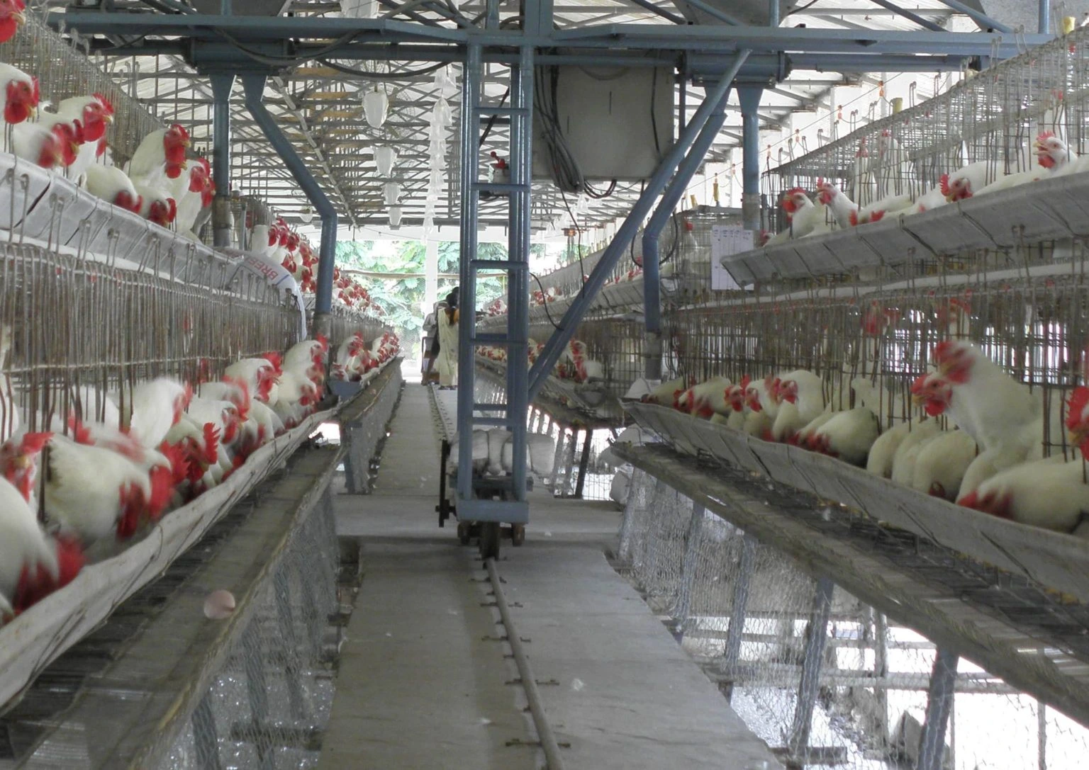Feed Management