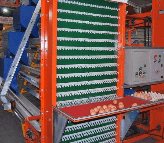 Eggs Handling