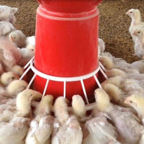 Watering System