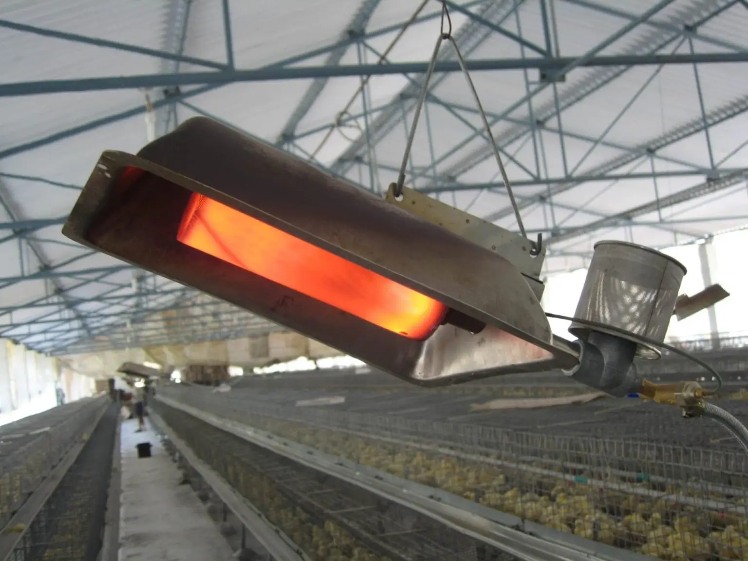 Poultry Gas Heating System