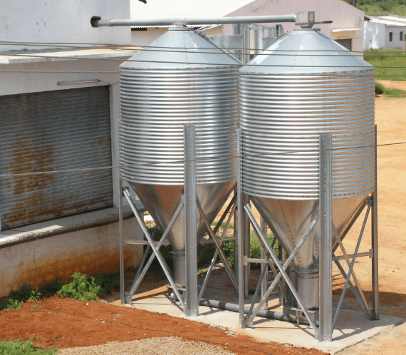 Feed Management