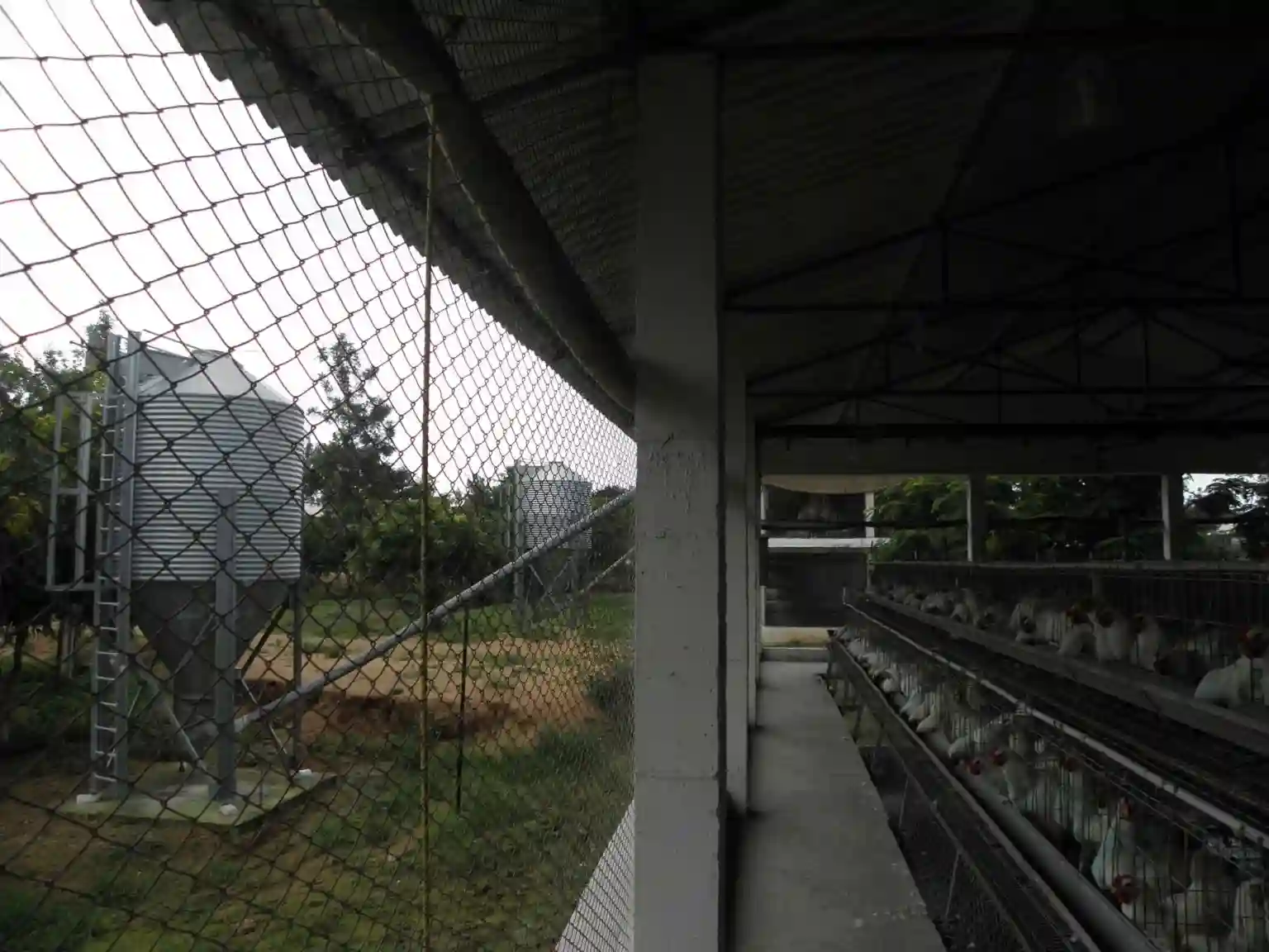 Fencing