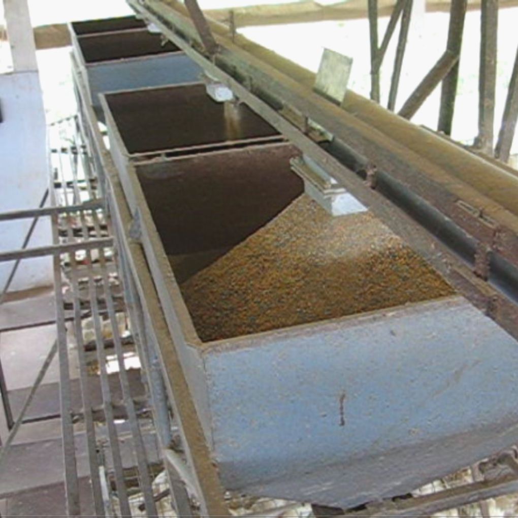 Feed Management