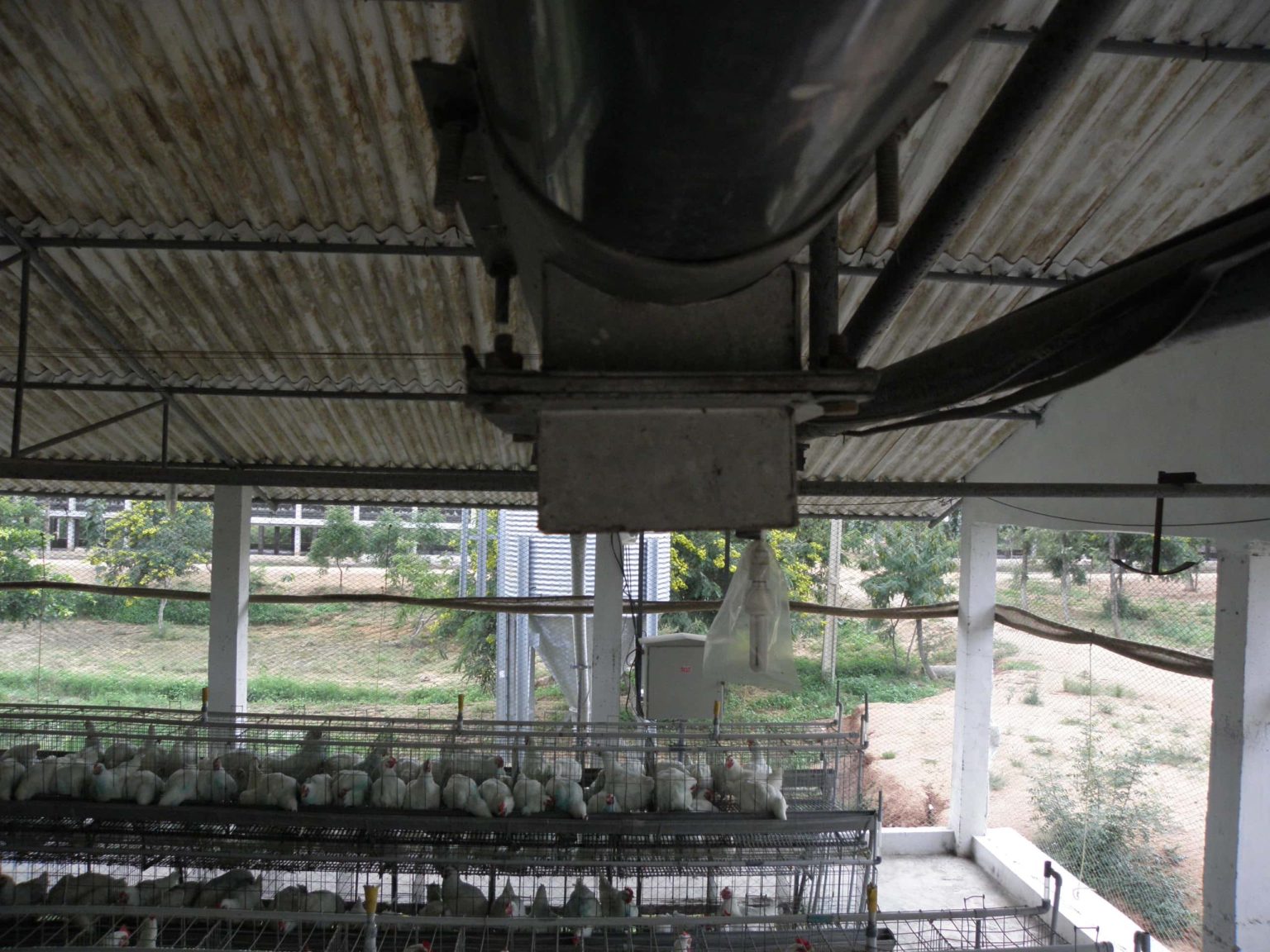 Feed Management