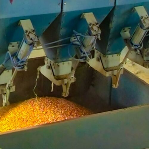 Feed Management